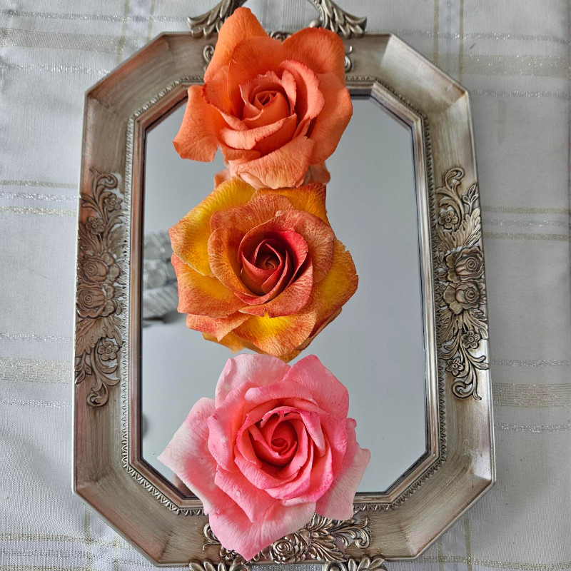 Chocolate Roses